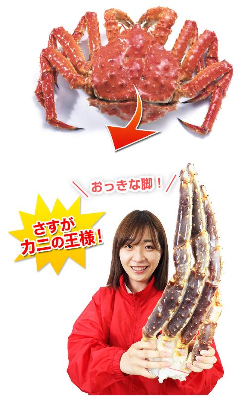 2020年 かに本舗のカニ 特大7L生たらば肩脚1肩（約1.3kg）｜カニマスター 2022年 おすすめのカニ通販ランキングでおいしいカニ